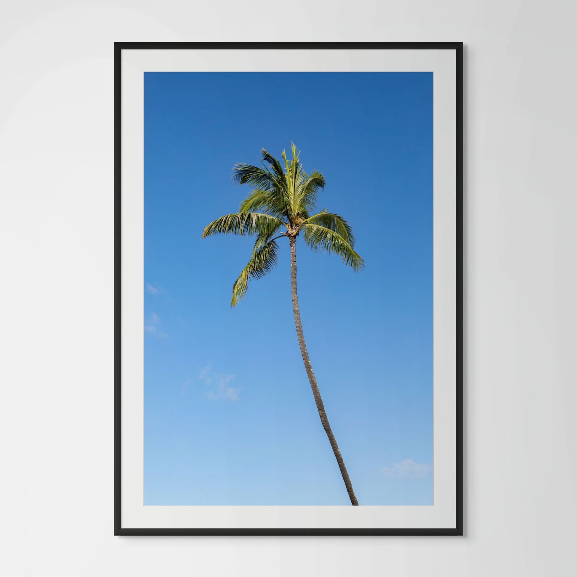 Hawaii palm tree framed photography print in black wood frame with white mat