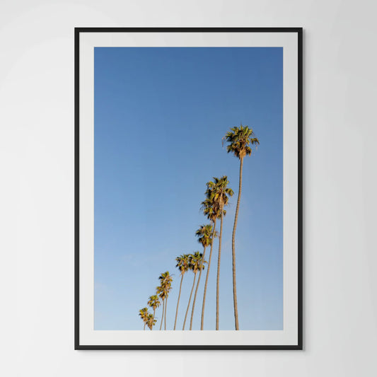 Hollywood palm trees framed photography print in black wood frame with white mat