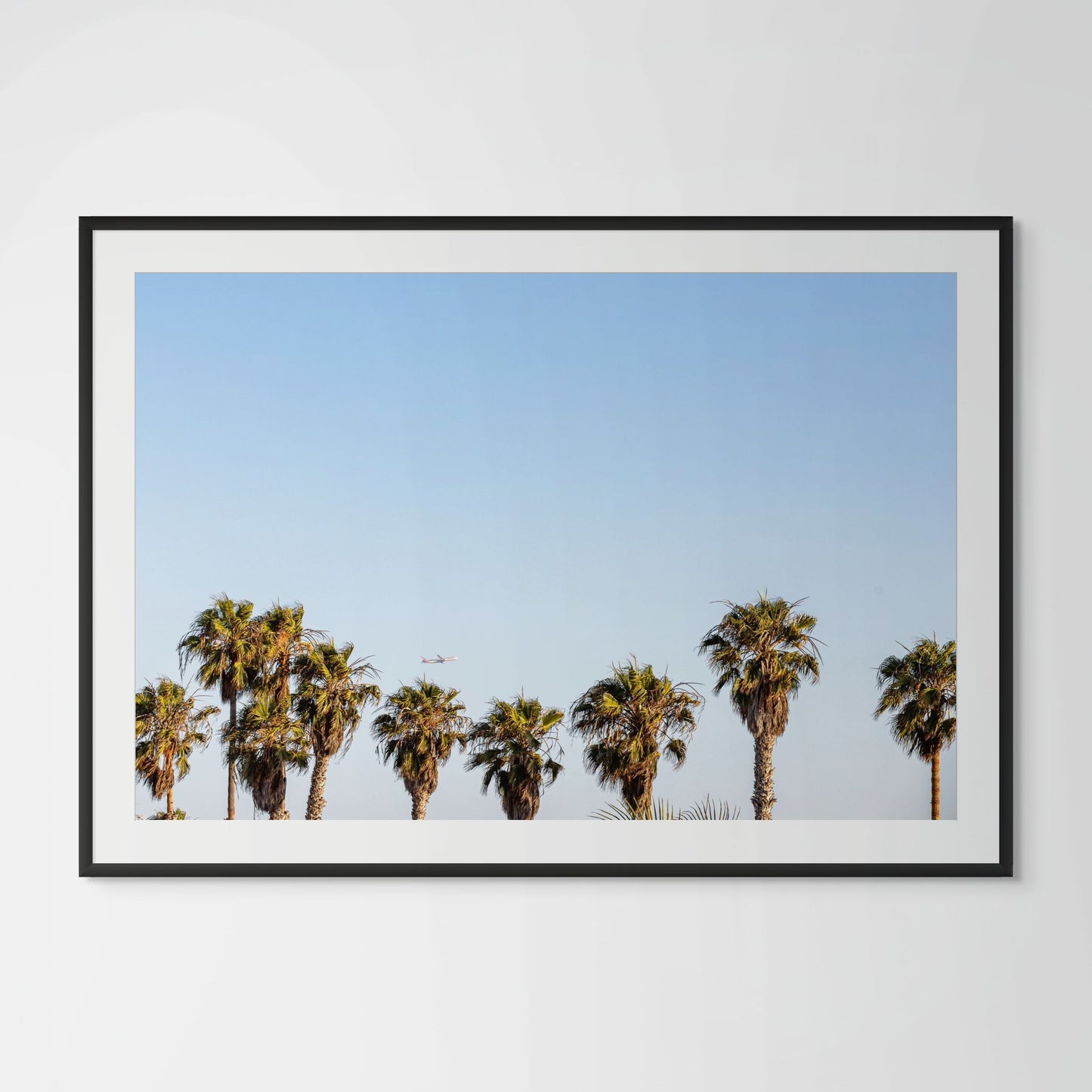 Los Angeles palm trees framed photography print in black wood frame with white mat