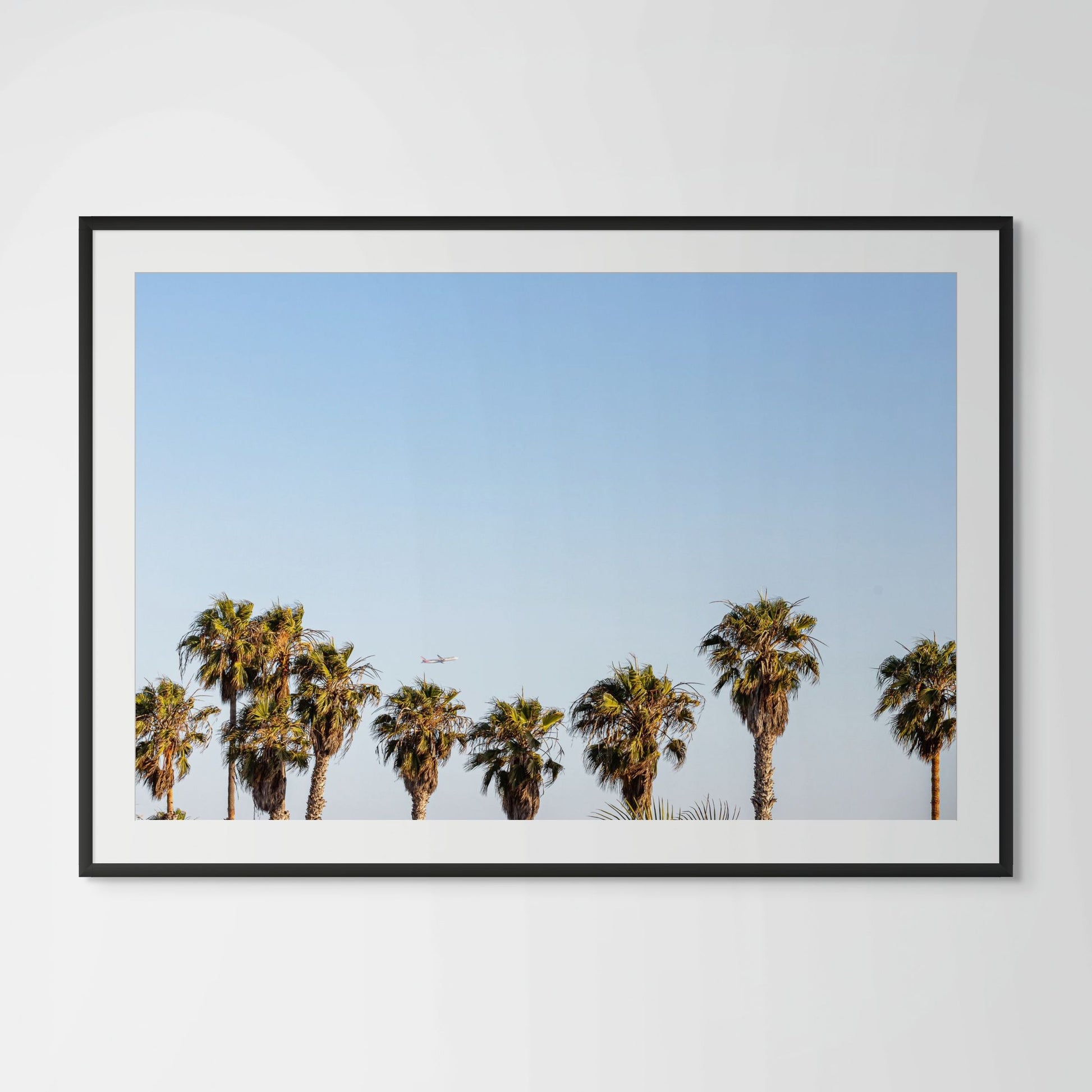 Los Angeles palm trees framed photography print in black wood frame with white mat