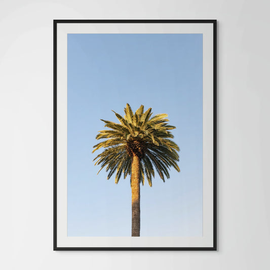 Santa Monica palm tree framed photography print in black wood frame with white mat