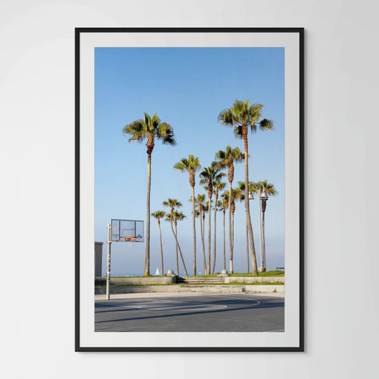 Venice Beach outdoor basketball courts with palm trees and ocean view at golden hour California